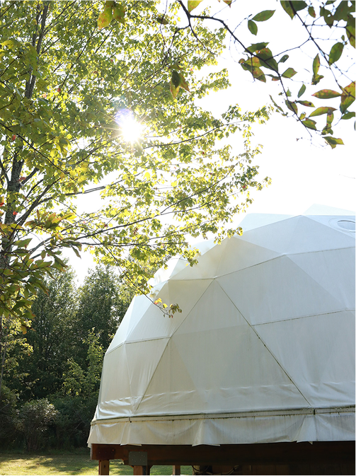 Sunlight filtering through green tree branches next to a large white geodesic dome structure in a grassy outdoor setting.