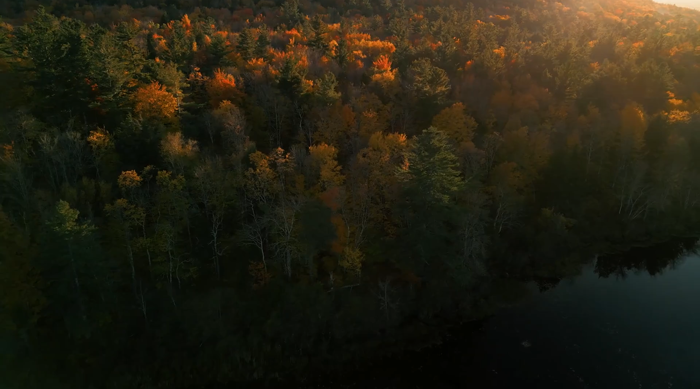 Aerial view of a dense forest with green and orange autumn foliage beside a calm dark lake at sunset.