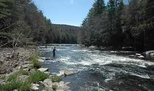 A scenic view of a shallow, clear river with rocky banks surrounded by dense green forest, highlighting the river overlooks and quiet nature paths on the moderate 4.4-mile loop hike.