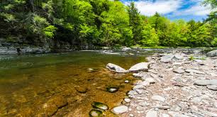 Scenic view of the lush, green marshland and standing water at the Neversink River Unique Area, offering serene views for hiking and fishing under a dramatic, cloud-filled blue sky.