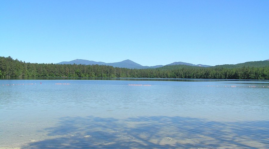 Peaceful view of White Lake in the Catskills, featuring clear blue water with a marked swimming area, dense pine forest, and mountains in the distance, highlighting the spot for summer leisure and lakeside dining.
