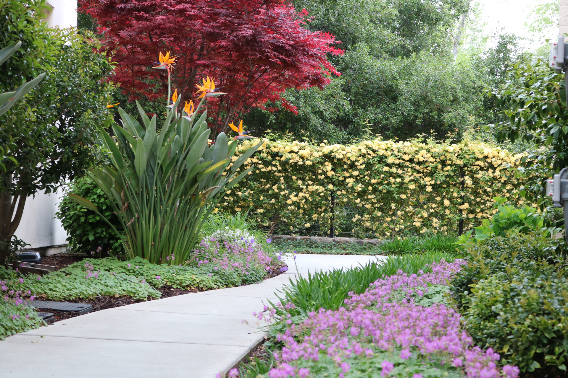 Landscape Management