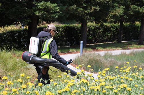 Dinsmore Commerical Landscaping