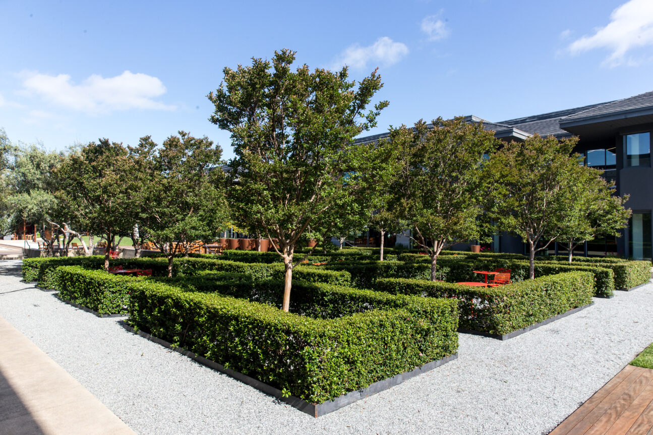 Dinsmore Landscape Management at The Quad