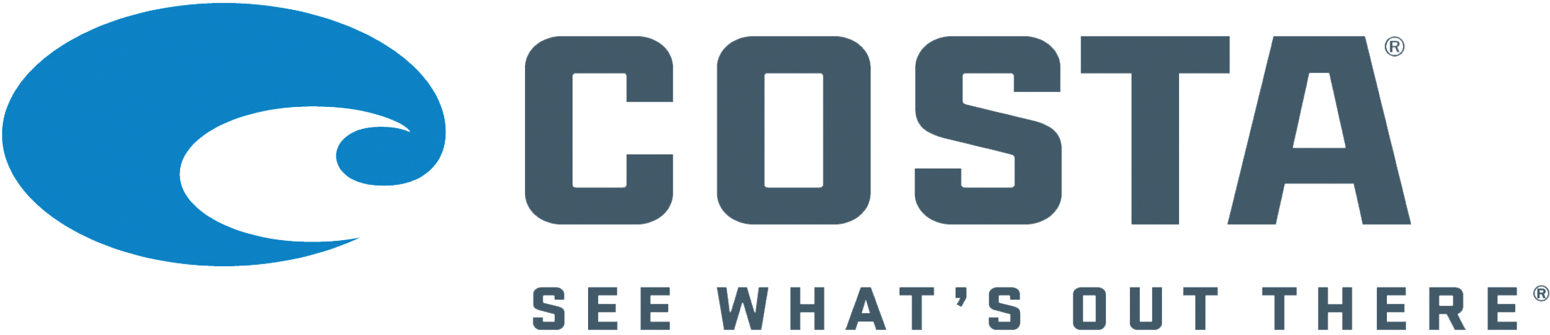 Costa logo featuring a blue wave symbol and the text 'COSTA' with tagline 'SEE WHAT'S OUT THERE'.