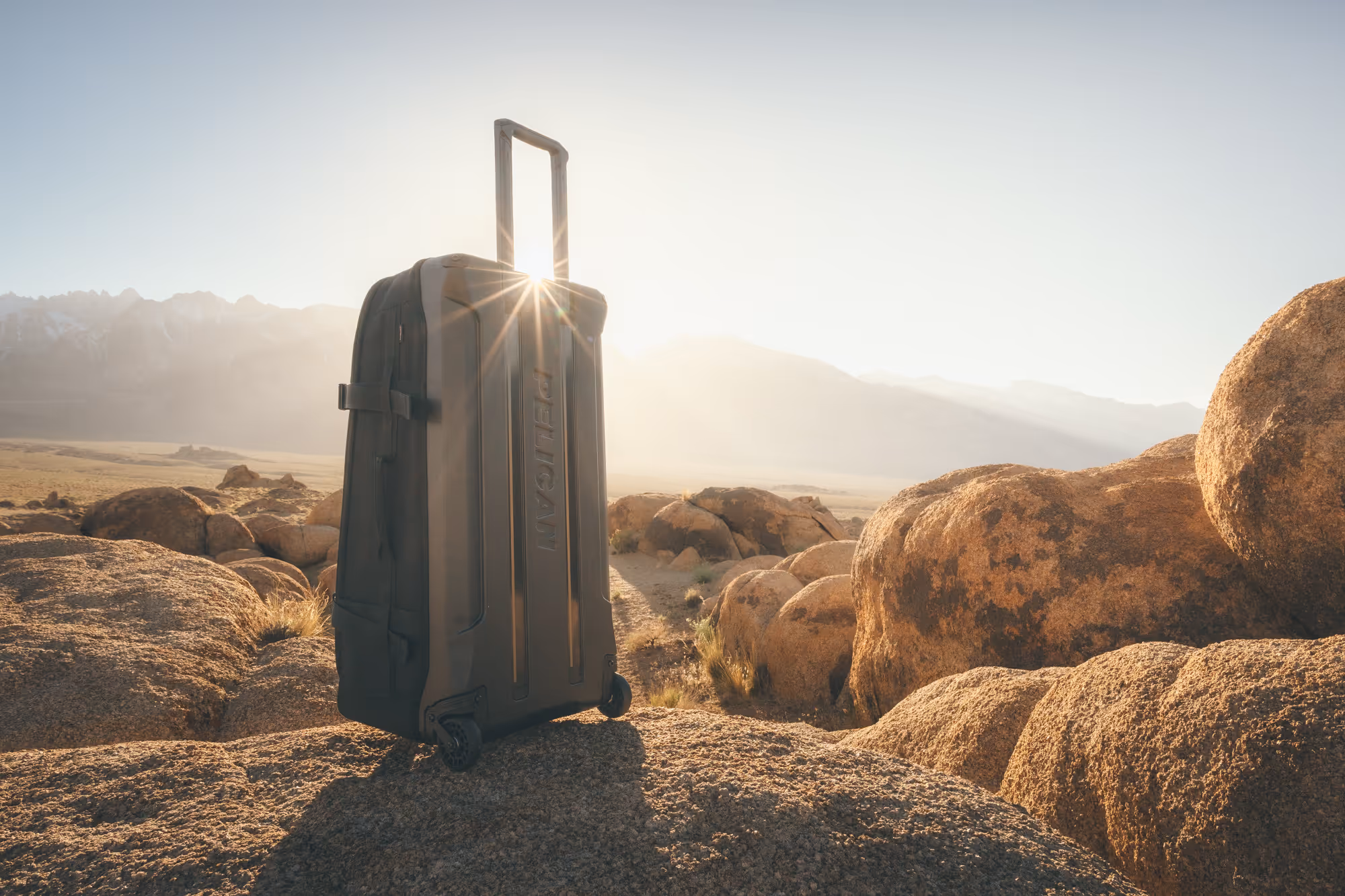 Black Pelican Vault case on a truck tailgate with a blurred person in outdoor forest setting.