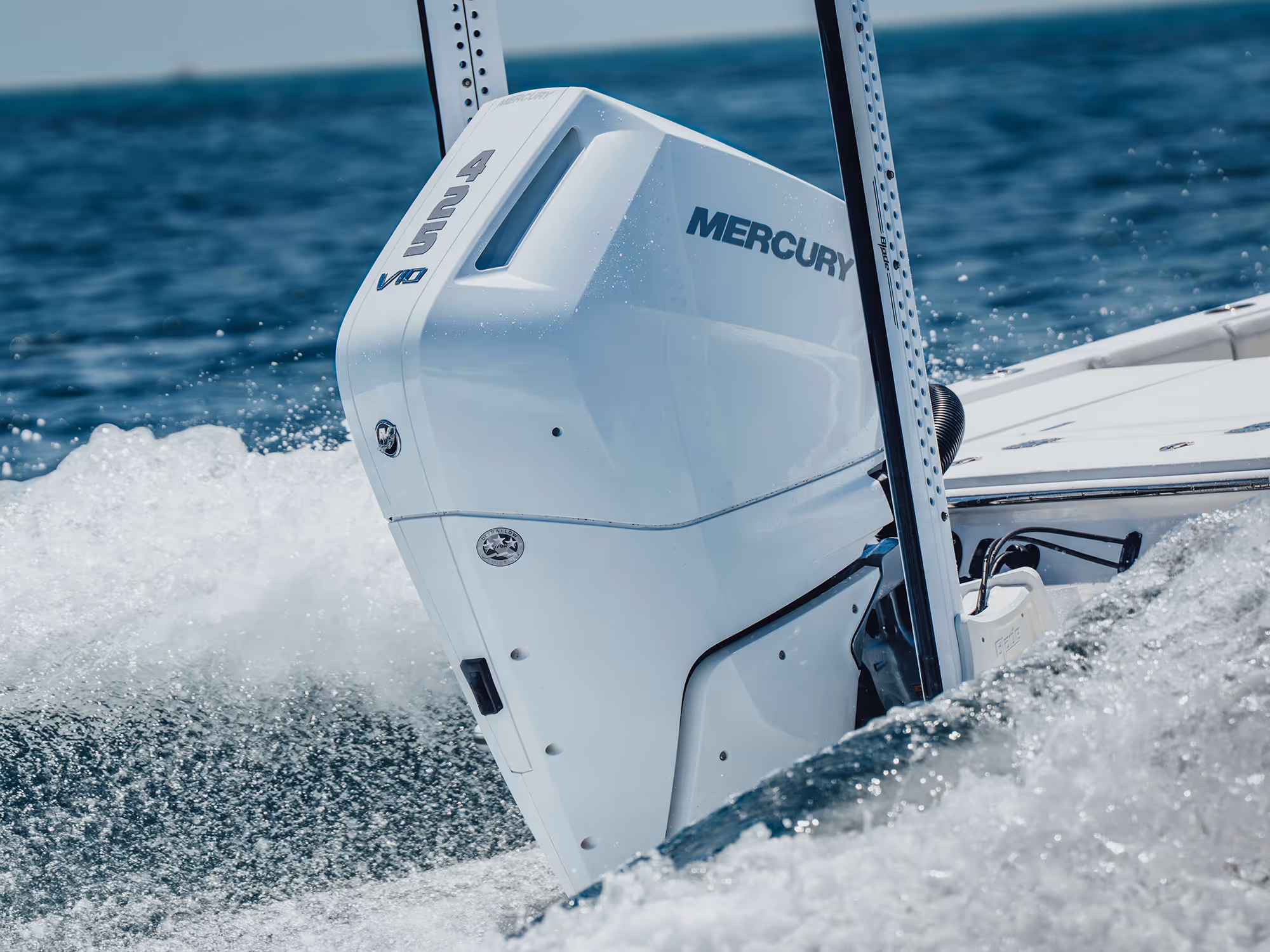 Two men fishing with rods in a grassy marsh under a blue sky.