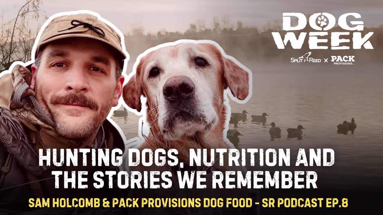 Ep. 8 Hunting Dogs, Nutrition and The Stories We Remember
