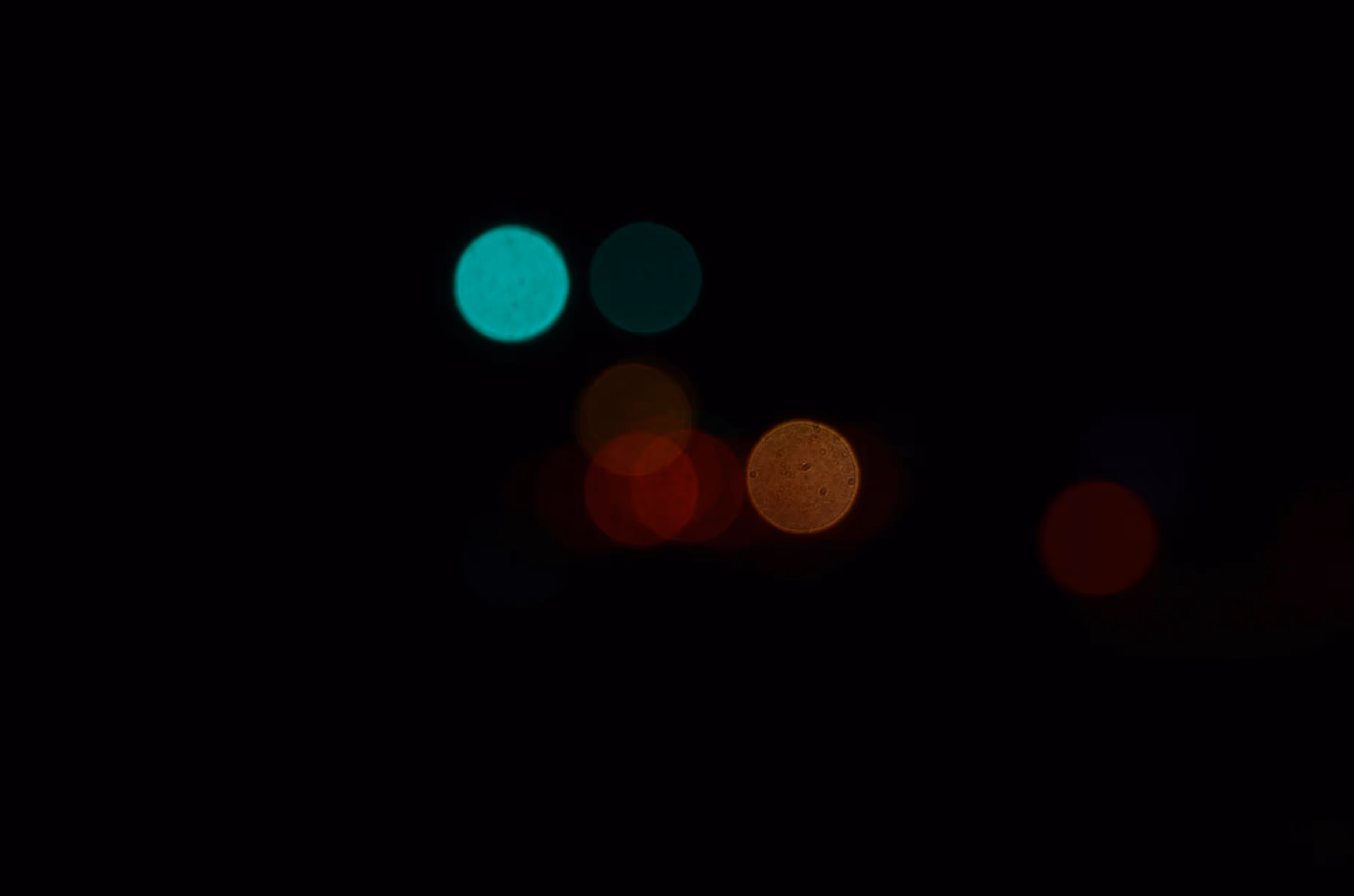 FISKA MEDIA: Interactive Experiences and Event Highlights