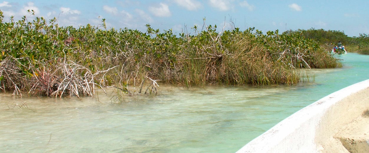 Blog_pesca_0005_Canal de yucatan