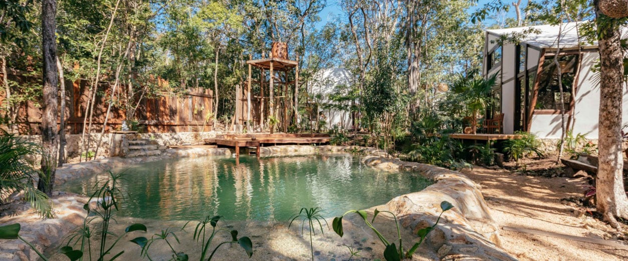 Blog_0002_nahousetulum