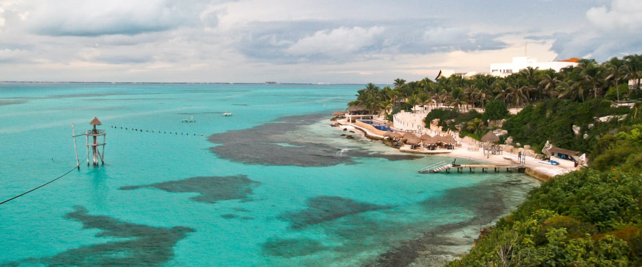 Blog - corales_0002_3