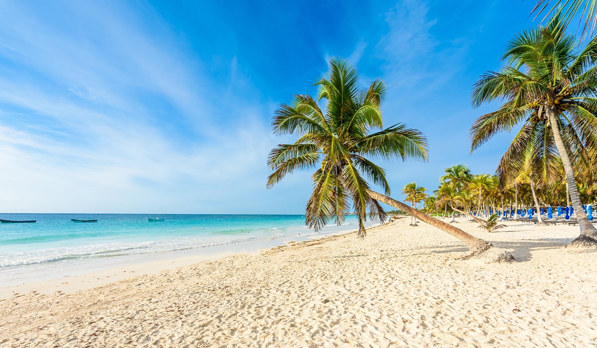 Emerita-50-Playas-Tulum-01