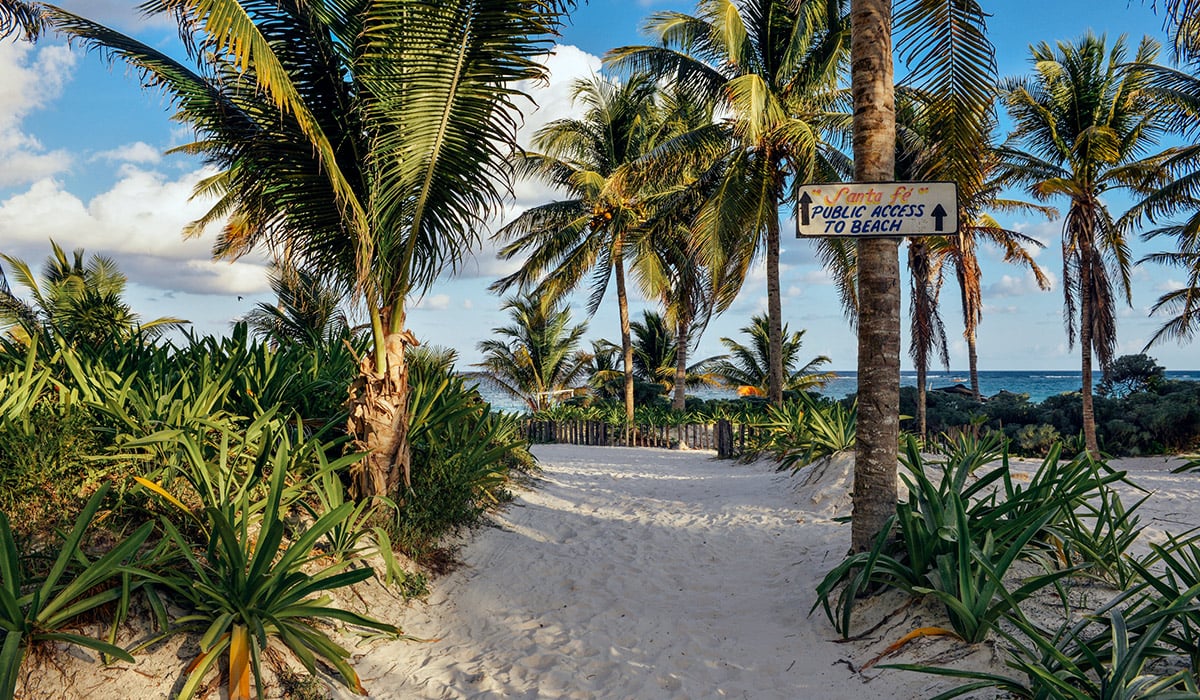 Emerita-50-Playas-Tulum-05