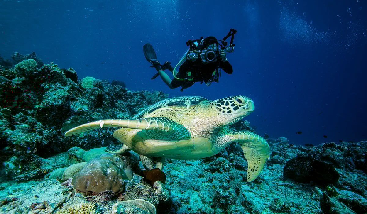 Emerita-54-Ecoturismo-01