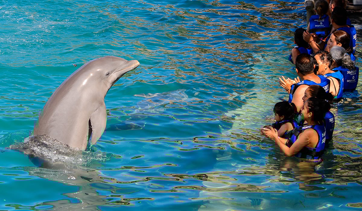 Emerita-54-Actividades-Familiares-02