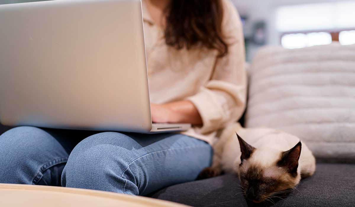 Conoce cómo la Generación Z_02