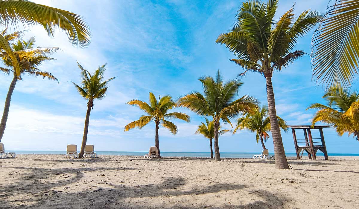 Aprovecha este 2024 y comienza una nueva vida en la playa_02