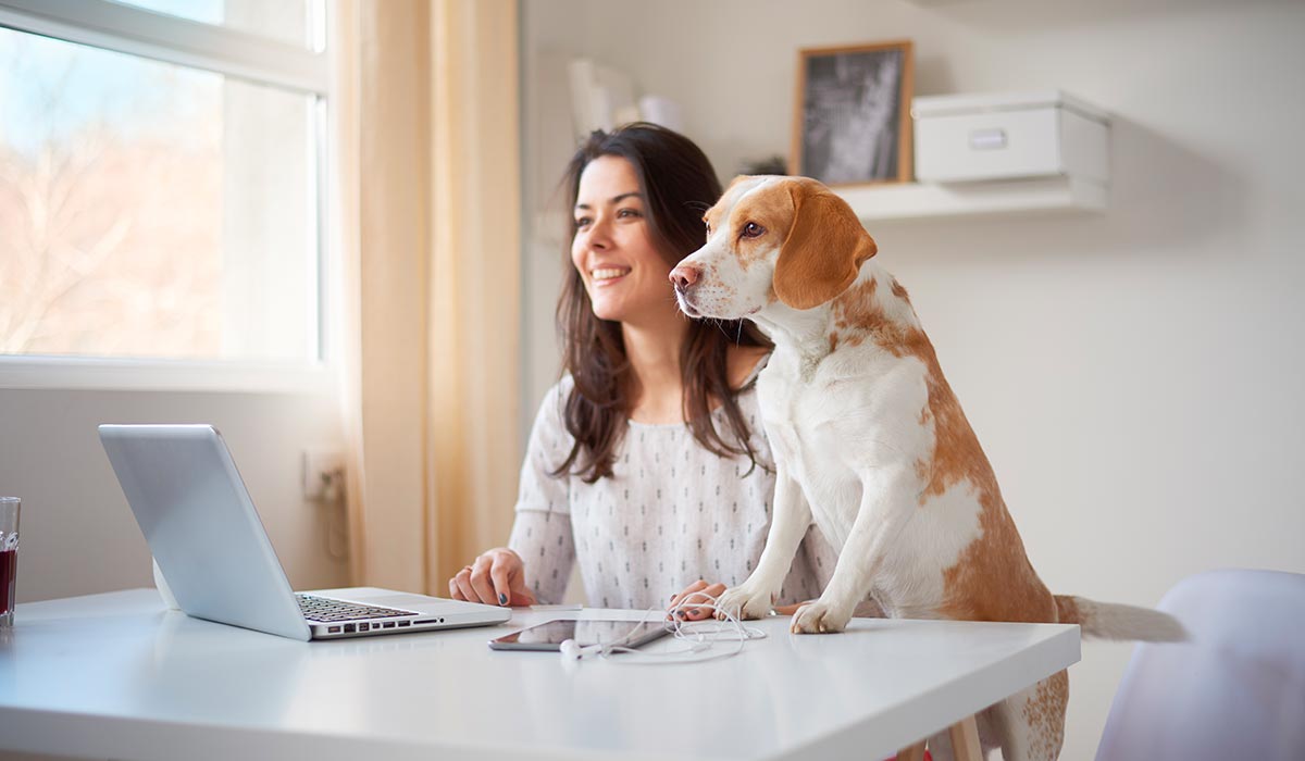 4 pasos para crear tu home office_03