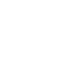 Event Planning Icon