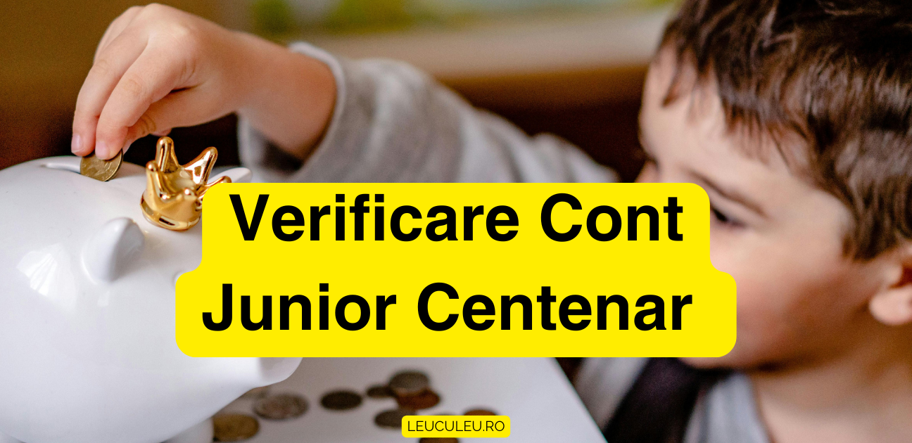 Verificare Cont Junior Centenar 