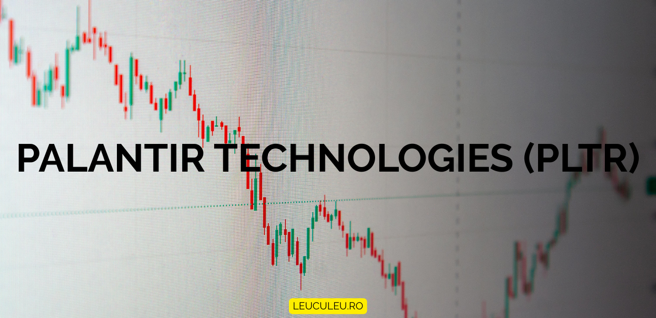 Palantir scade -4,26% după publicarea rezultatelor