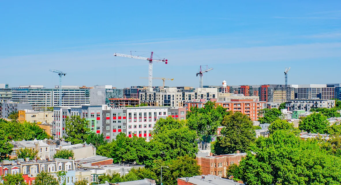 Pity the Misunderstood Developer