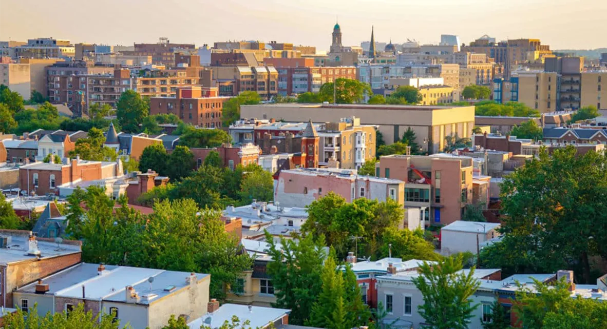 Financial Shock Absorbers Needed Now