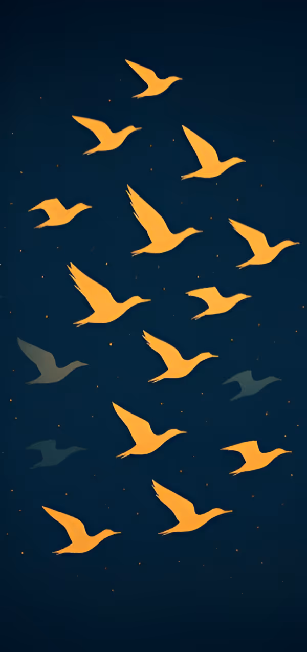 interface of project management software [interface]