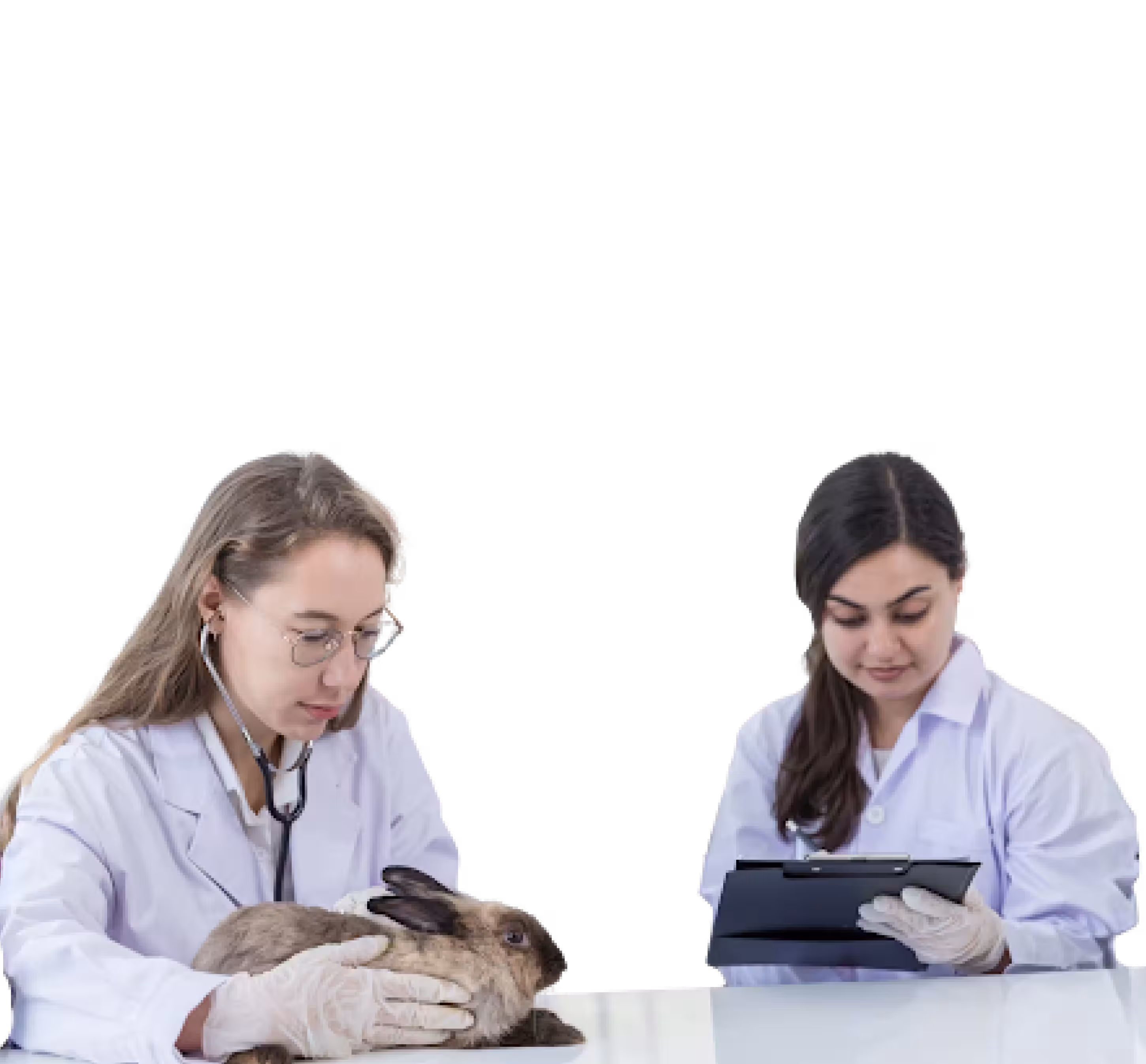 Research Compliance Management