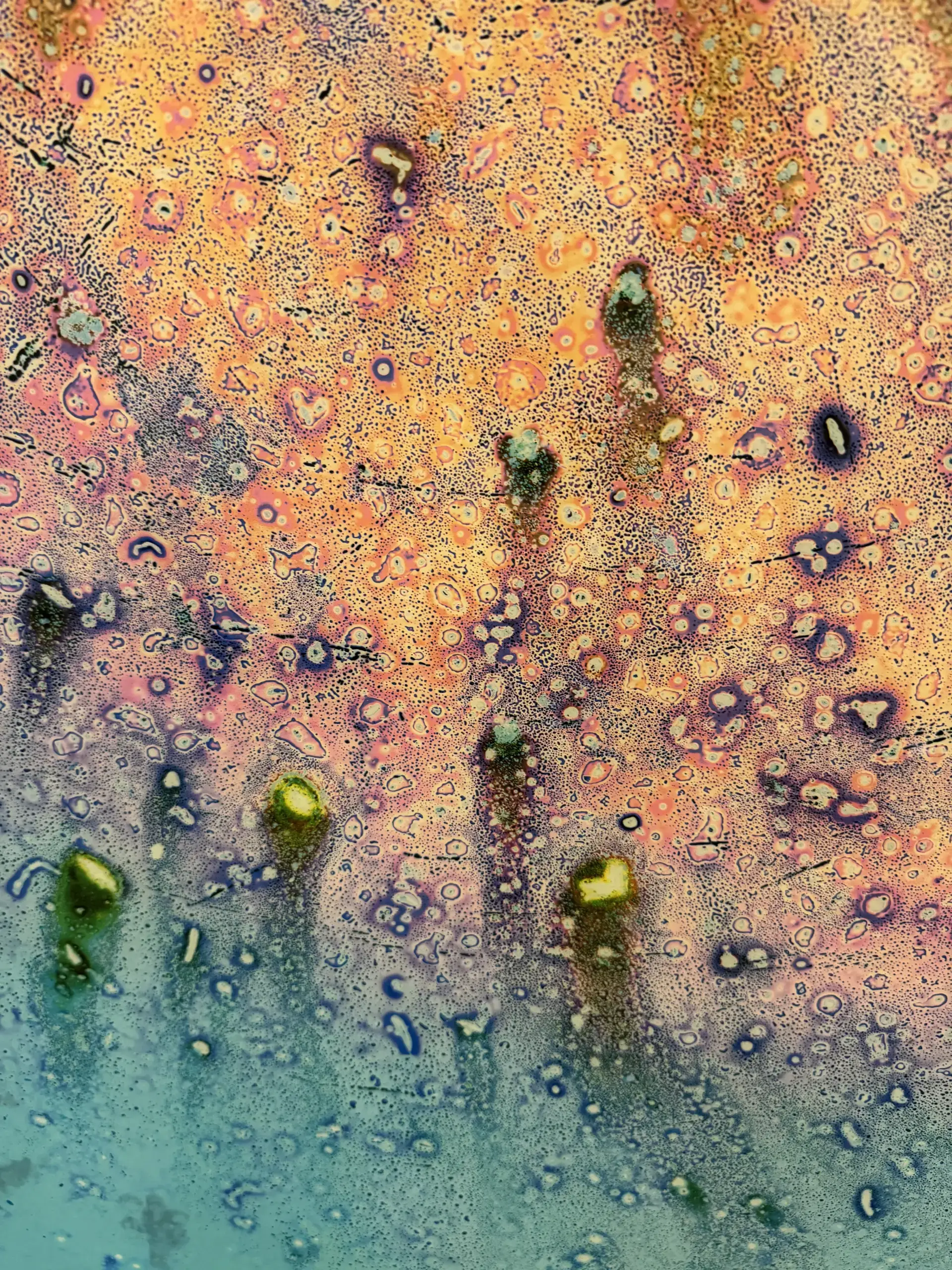 Mikroskopische Aufnahmen von Zellen, begleitet von Informationen zur Bestimmung des richtigen Zeitpunkts für einen VO2Max-Test.