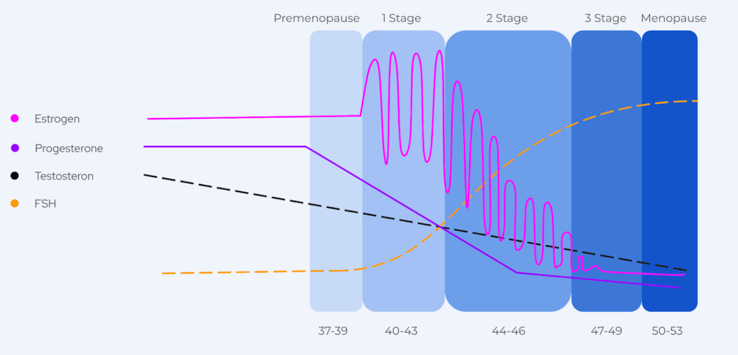 Ein medizinisches Diagramm, das schwankende Östrogen- und Testosteronspiegel zeigt, die durch eine Hormonersatztherapie reguliert werden.