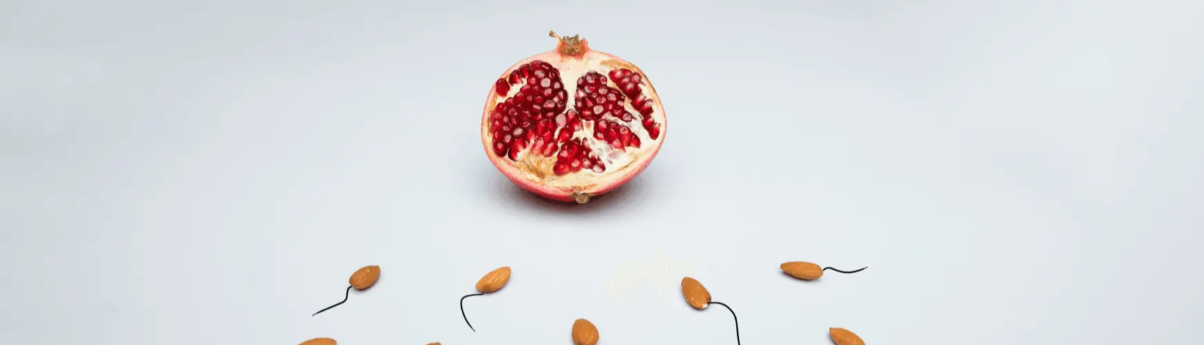 Ein aufgeschnittener Granatapfel und Mandeln vor grauem Hintergrund, die sexuelle Gesundheit und Vitalität symbolisieren.
