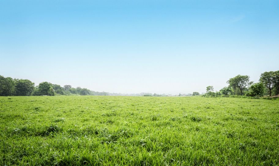 bombay-hc-expired-land-plan-allows-kungulwar-family-to-develop-solapur-property