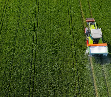 Top 5 Organic Fertilizers for Healthy Soil in 2025