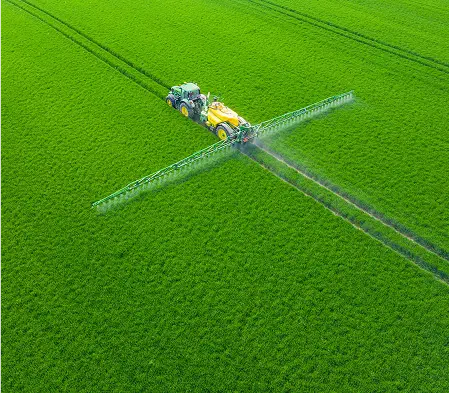 Top 5 Organic Fertilizers for Healthy Soil in 2025