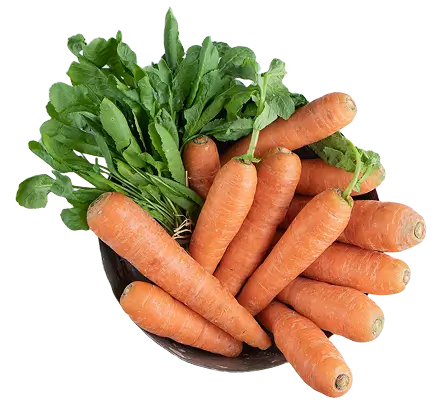 Carrot