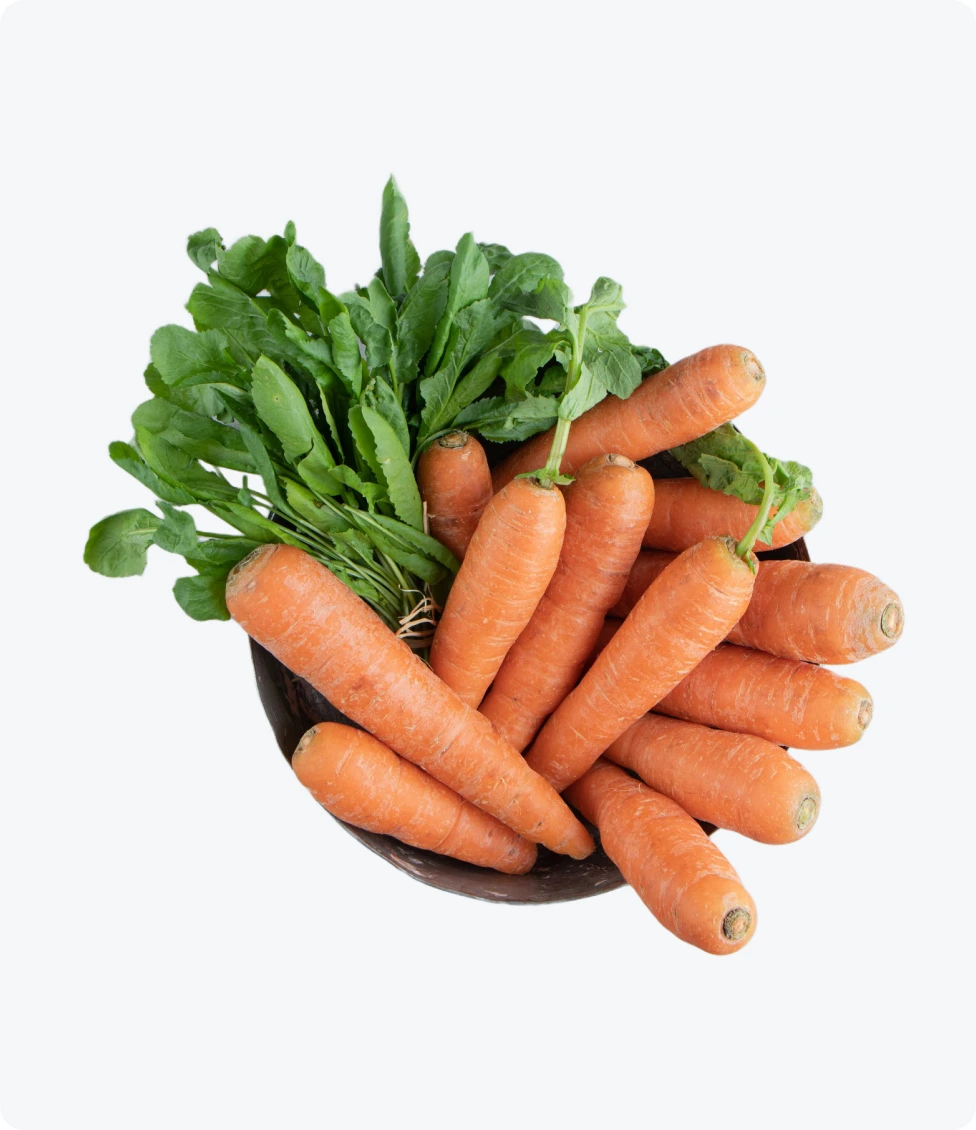 Carrot
