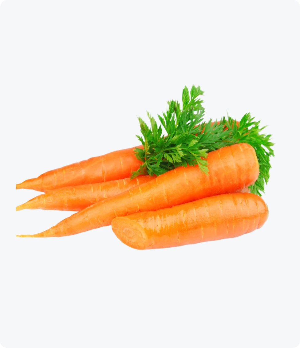 Carrot