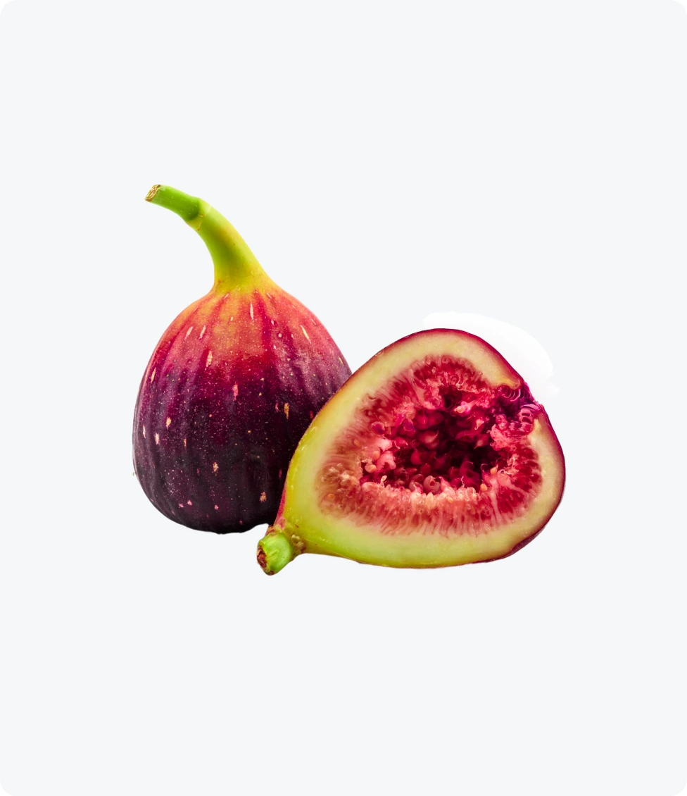 Fig