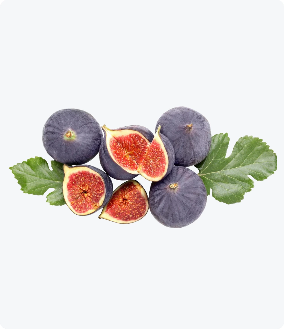 Fig