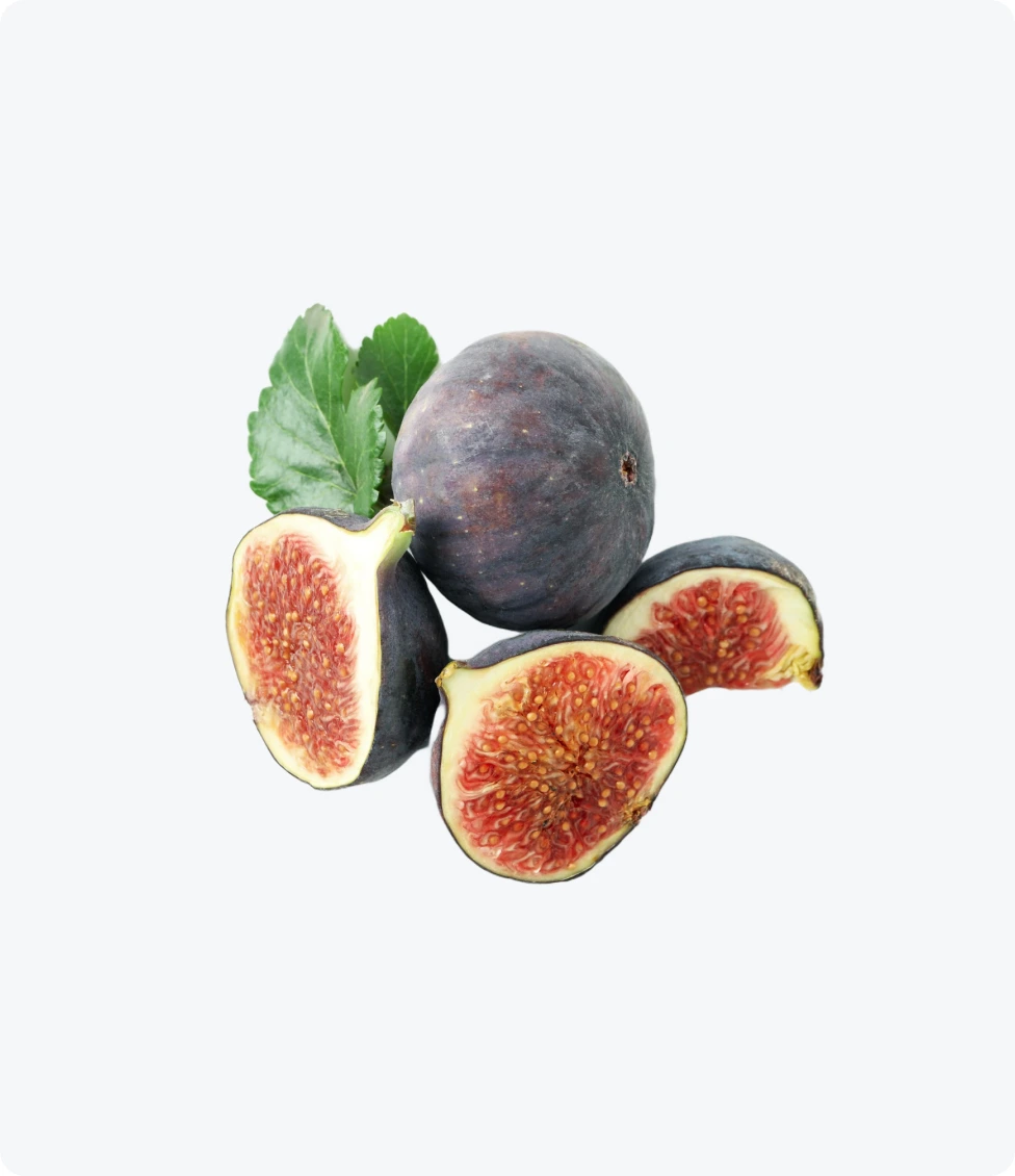 Fig