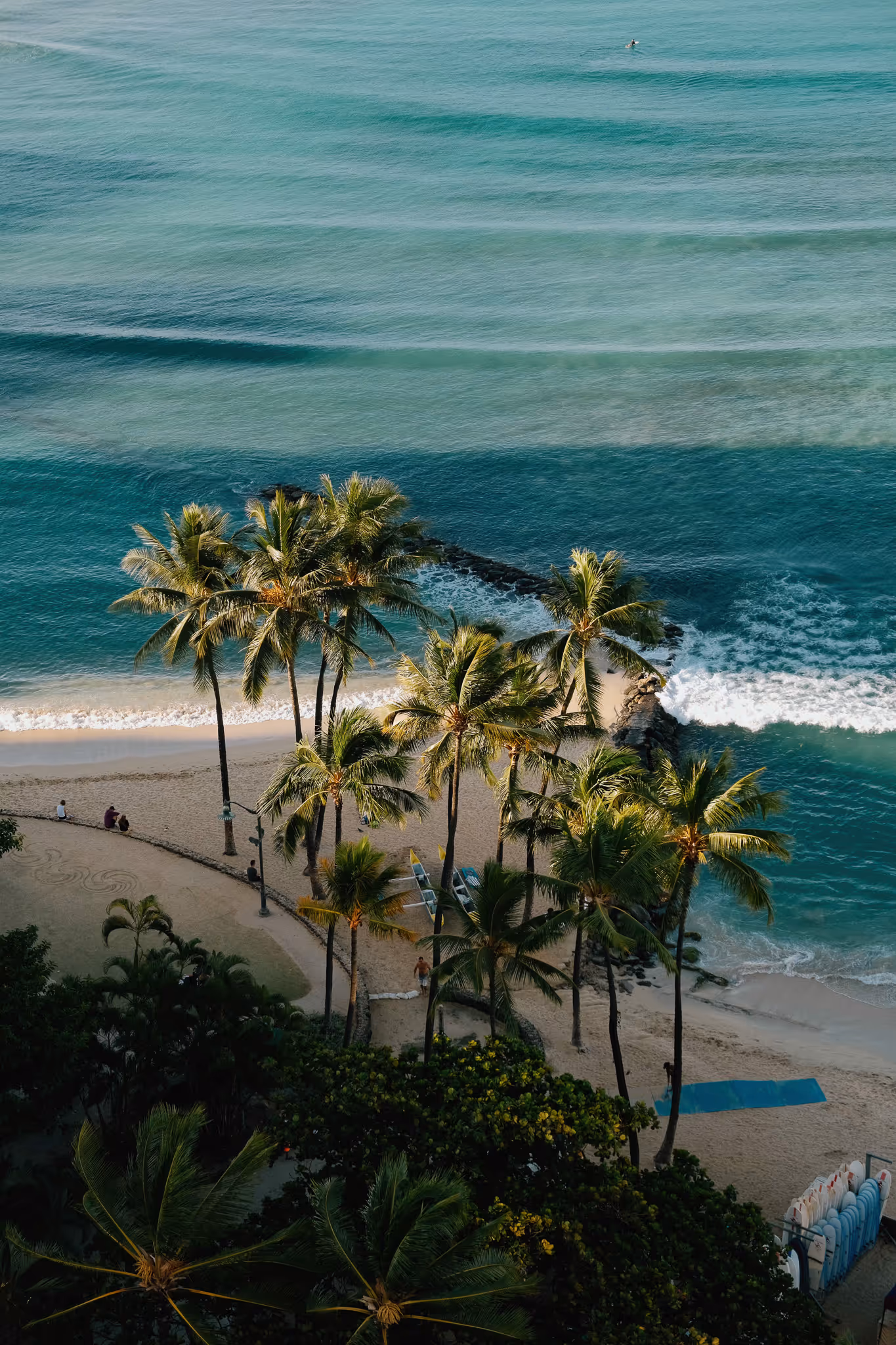 Overhead view of a tropical beach with palm trees, turquoise ocean waves, and a few people on the sandy shore.