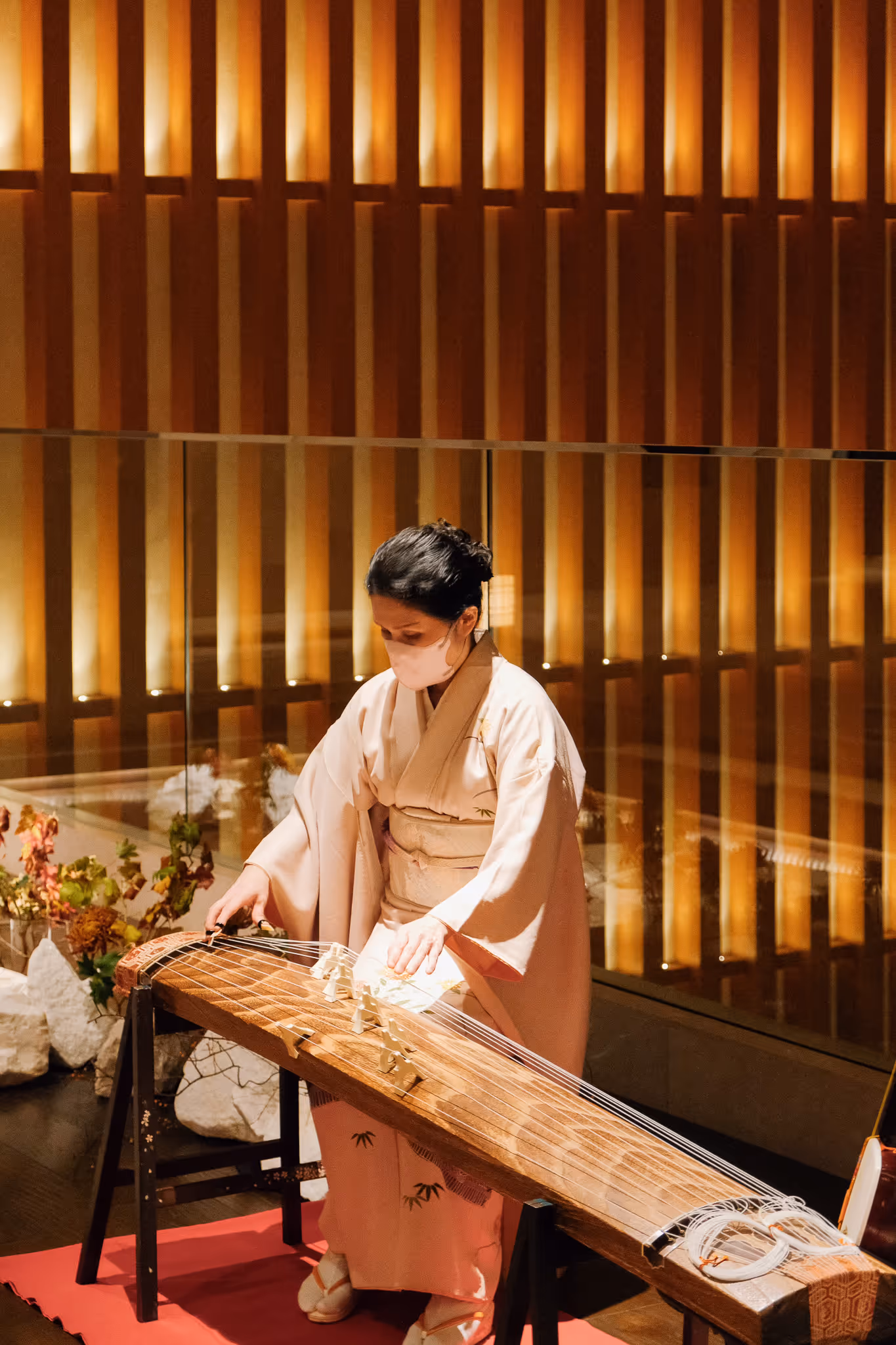 Woman wearing a kimono and face mask playing a koto instrument indoors with warm wooden panel background.