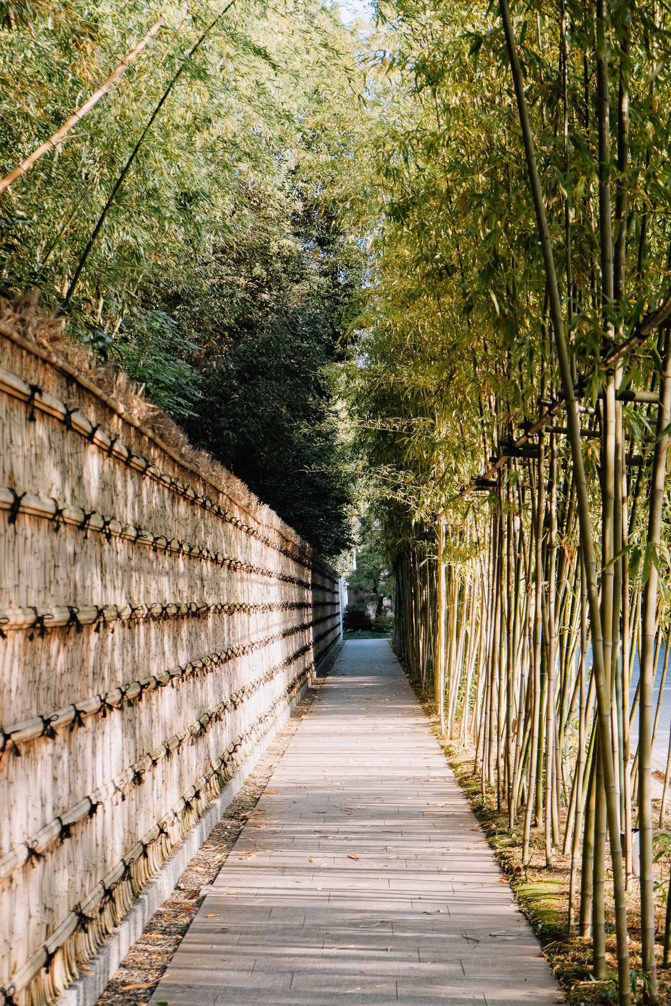 Narrow paved pathway lined with bamboo plants on the right and a traditional bamboo fence on the left.