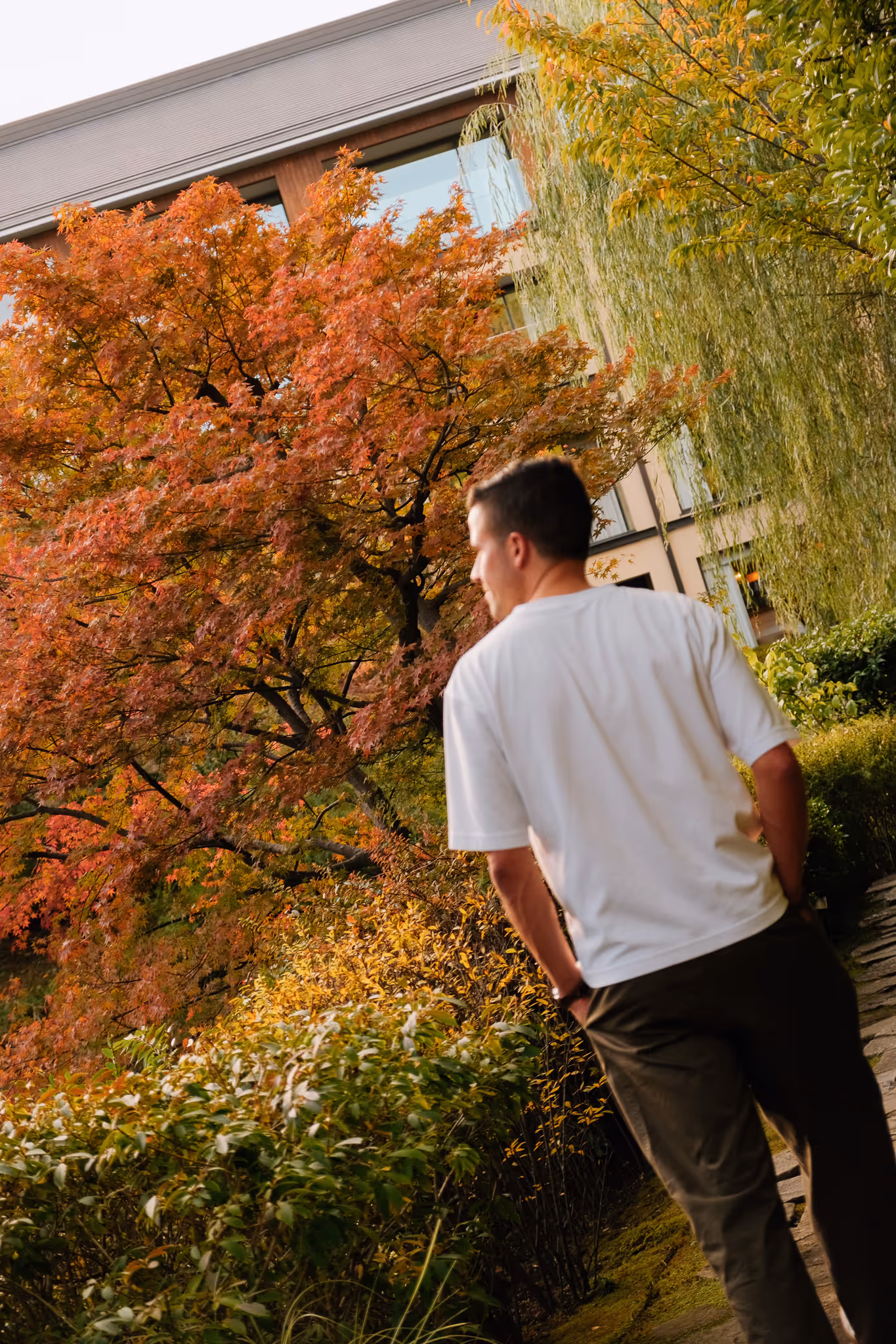 Man in white t-shirt walking on a garden path surrounded by autumn-colored foliage and a building in the background.