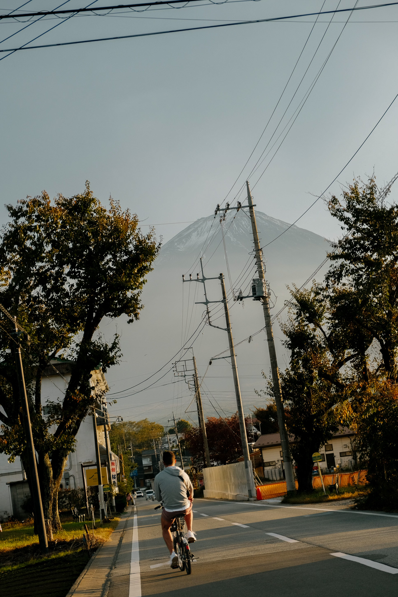 Man riding a bicycle on a street lined with trees and utility poles, with a snow-capped mountain in the background.