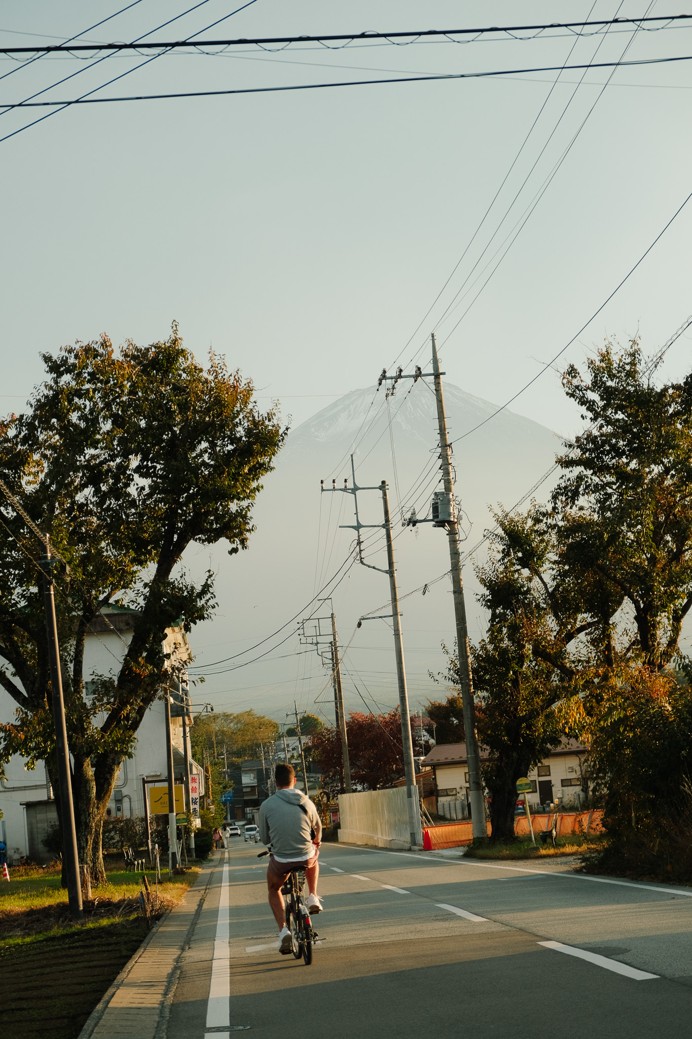 Person riding a bicycle on a road lined with trees and power lines, with a faint snow-capped mountain in the background.