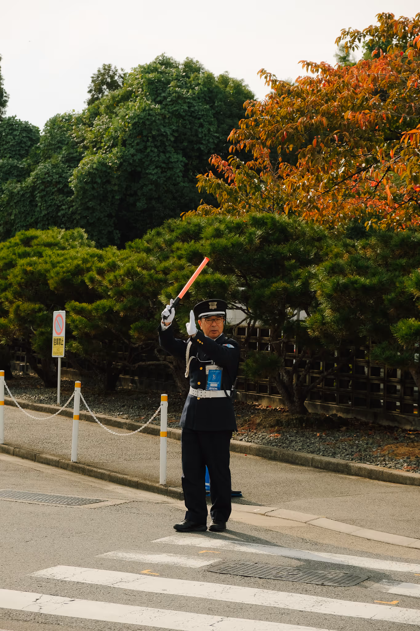 Uniformed traffic officer standing on a crosswalk directing vehicles with a red baton, surrounded by green and autumn-colored trees.