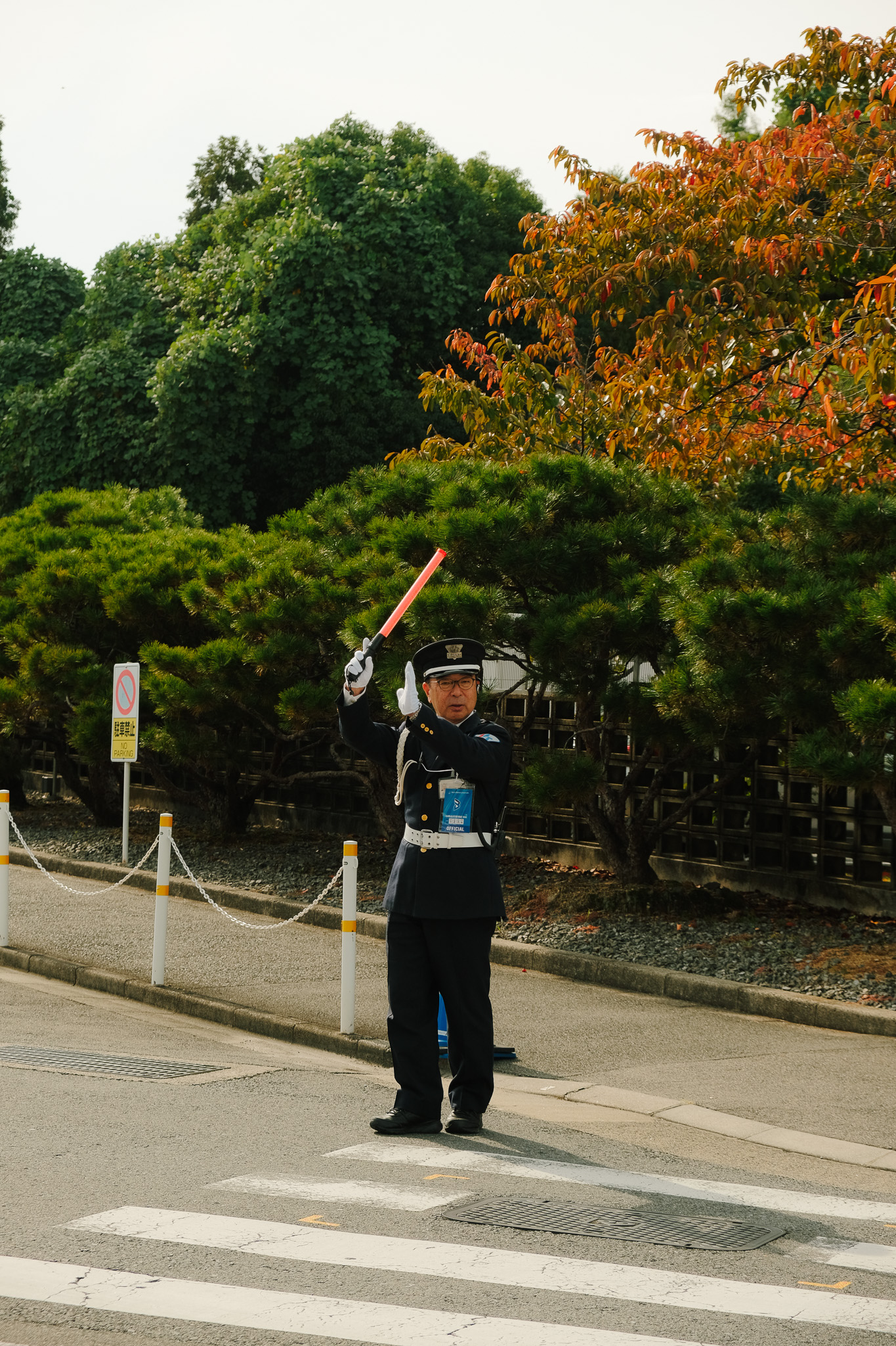 Uniformed traffic officer standing on a crosswalk directing vehicles with a red baton, surrounded by green and autumn-colored trees.